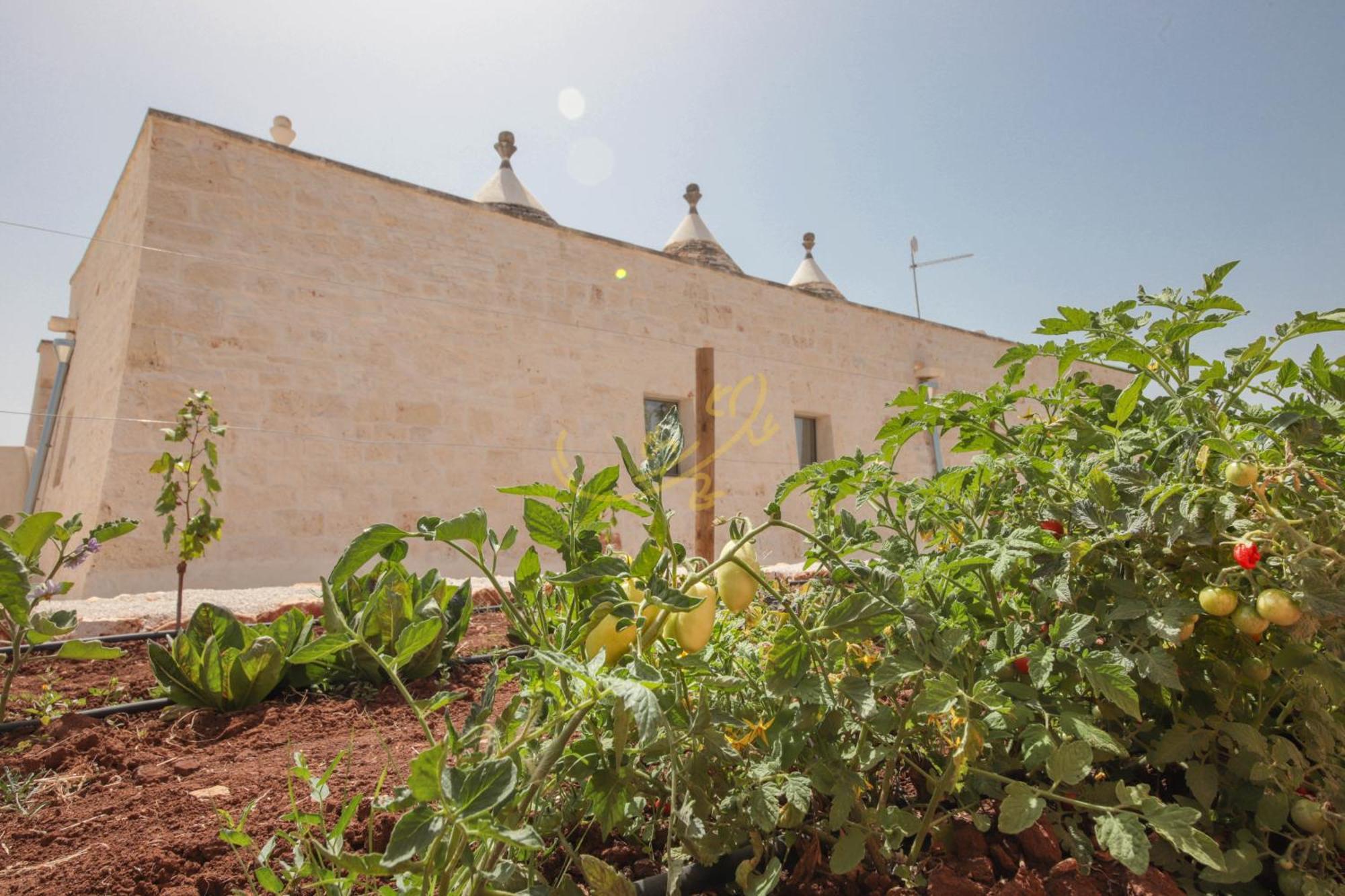 Willa Td I Coni Di Pinure Trulli With Scenic Valley View Martina Franca Zewnętrze zdjęcie